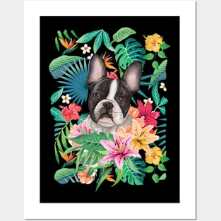 Tropical Boston Terrier Posters and Art